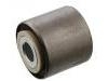 Suspension Bushing:500323279